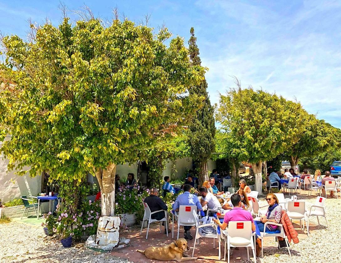 Hospederia Restaurante Tarin Hotell Los Canos De Meca Eksteriør bilde